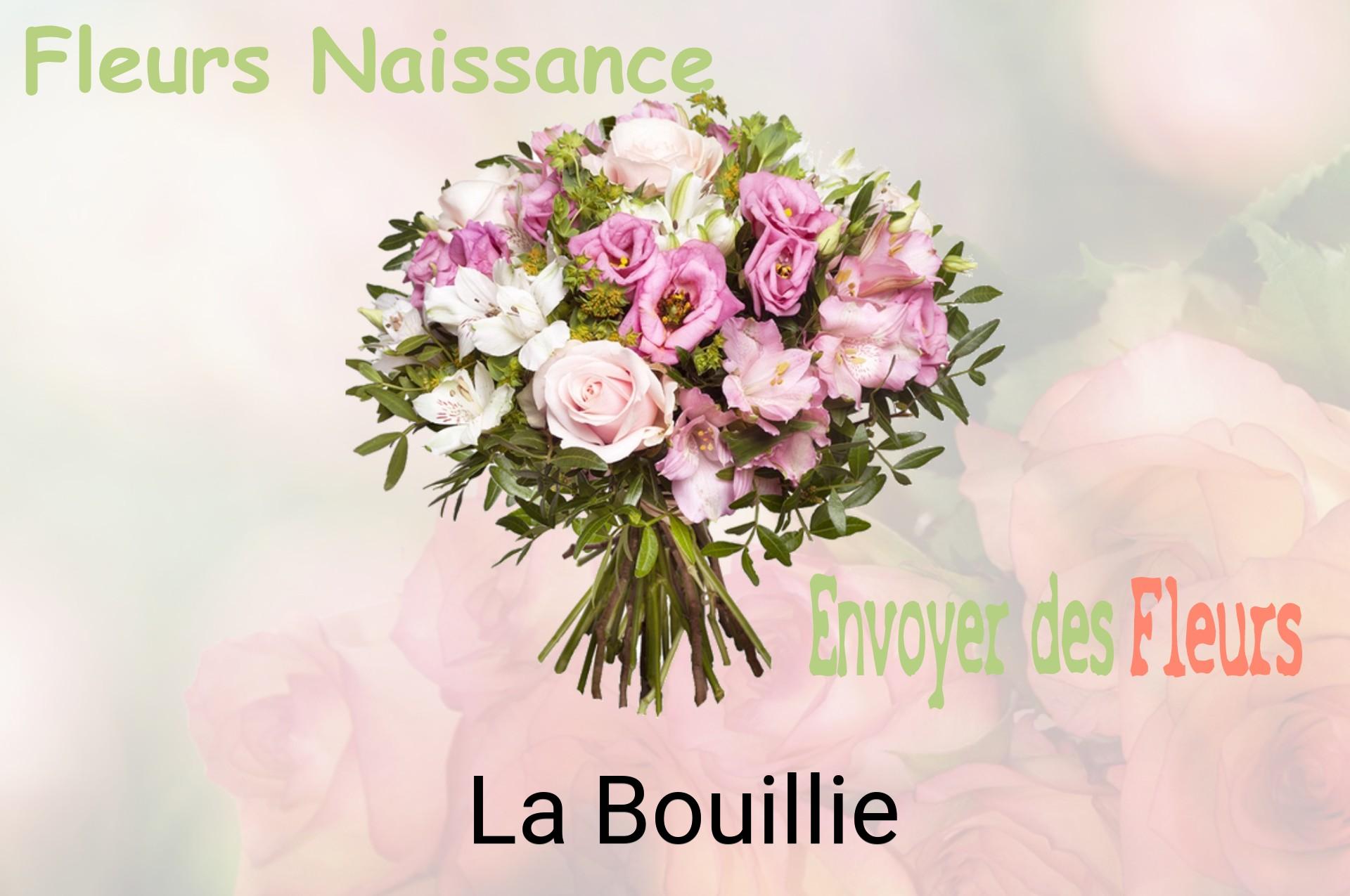 Bouquet de fleurs de naissance livré à La Bouillie